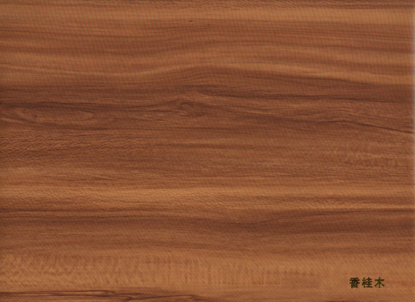 �ȵ����ľ��ɫ