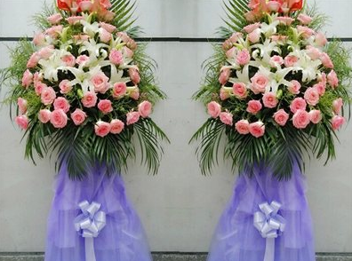 װ���þ�Ʒ���ȵ�����װ�β��ϰ��ռ��˵�ʢ��ҵ